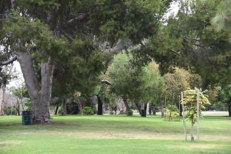 Enlarge photo 48