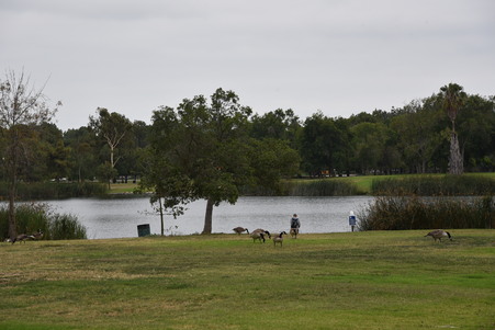 Enlarge photo 51