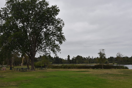 Enlarge photo 53