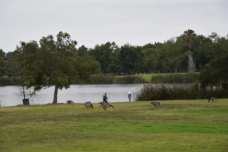 Enlarge photo 54