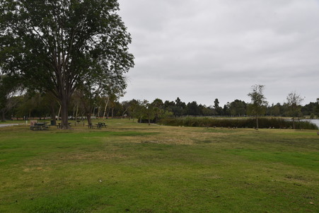 Enlarge photo 57
