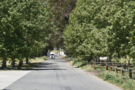 Enlarge photo 15