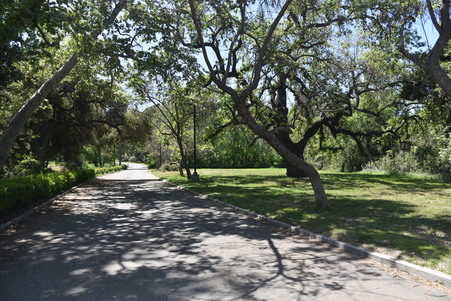 Enlarge photo 17