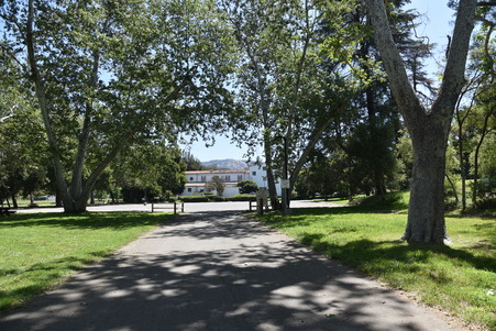 Enlarge photo 25