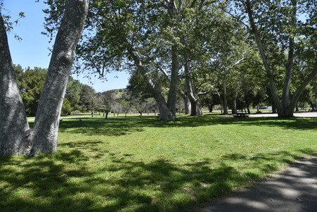 Enlarge photo 26