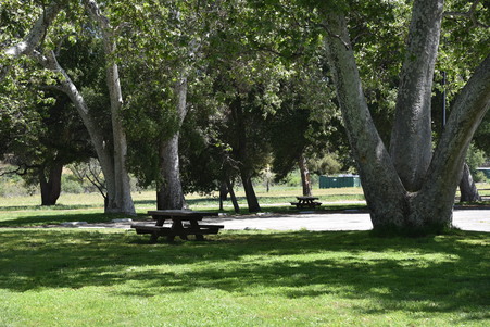 Enlarge photo 27