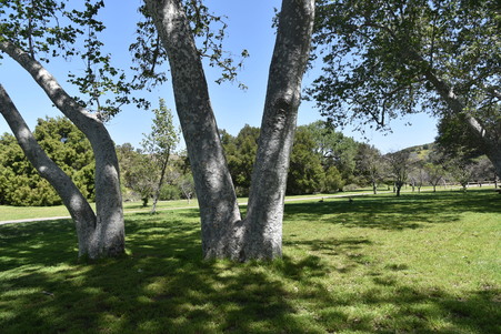 Enlarge photo 29