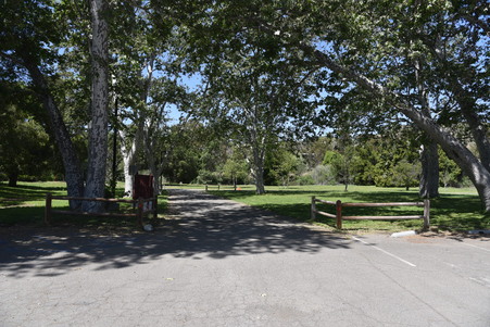 Enlarge photo 30