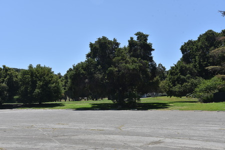 Enlarge photo 35