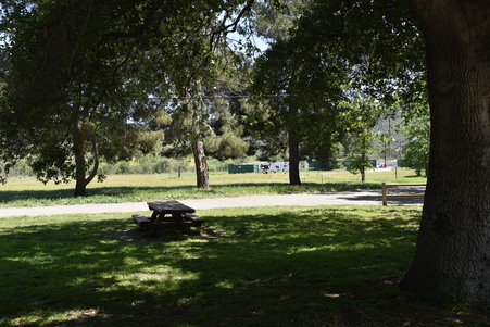 Enlarge photo 36