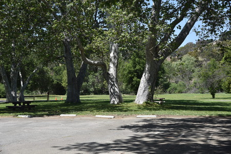 Enlarge photo 38