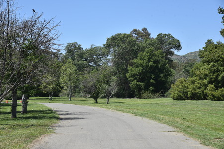 Enlarge photo 41