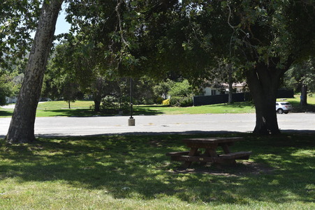 Enlarge photo 42