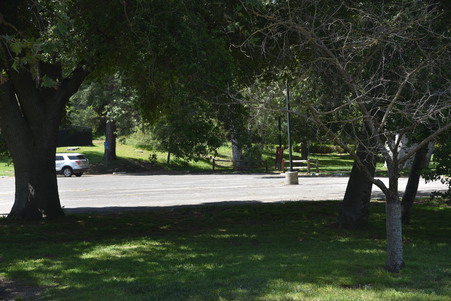 Enlarge photo 43