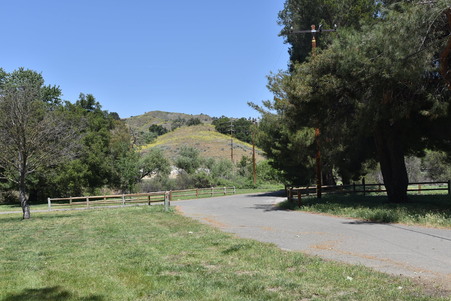 Enlarge photo 44