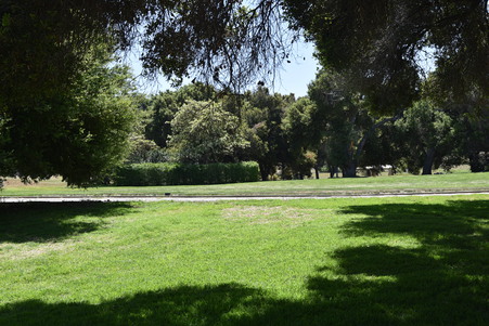 Enlarge photo 46