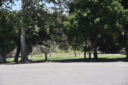Enlarge photo 48