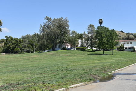 Enlarge photo 54