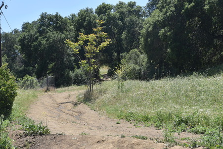 Enlarge photo 56