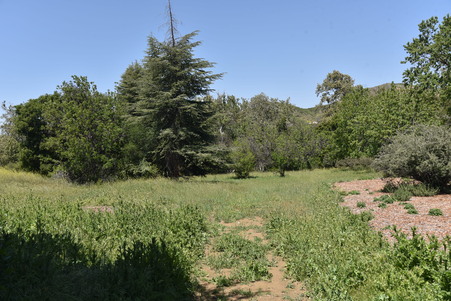 Enlarge photo 57