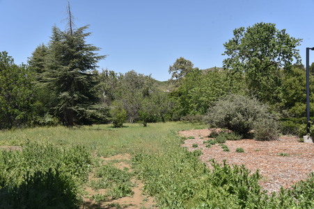 Enlarge photo 58
