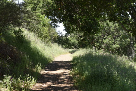Enlarge photo 61