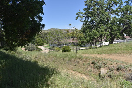 Enlarge photo 62