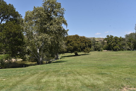 Enlarge photo 63