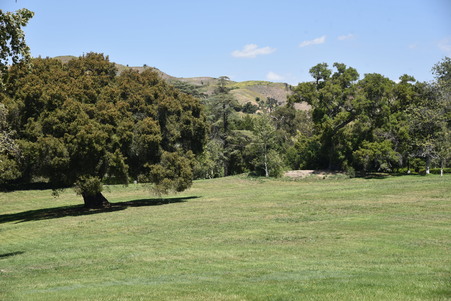 Enlarge photo 64