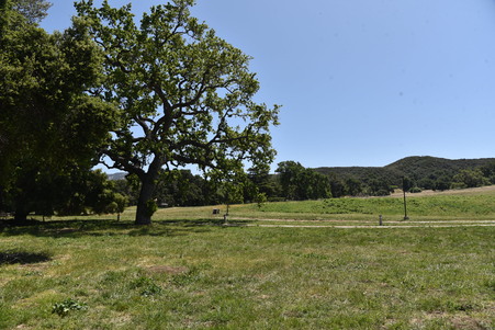 Enlarge photo 65