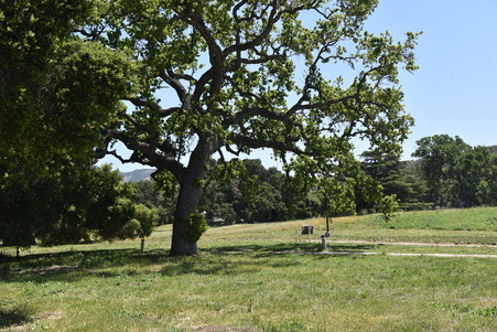 Enlarge photo 66