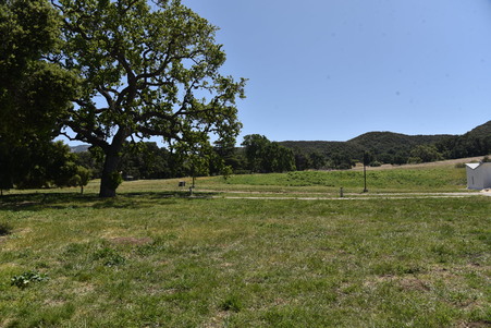 Enlarge photo 67