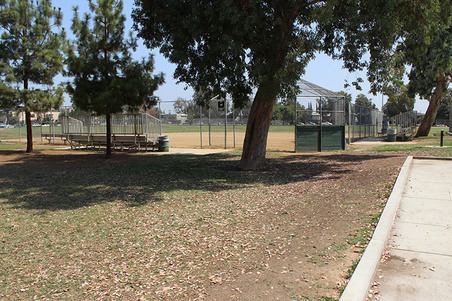 Enlarge photo 16