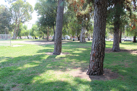 Enlarge photo 36