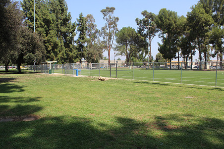 Enlarge photo 41