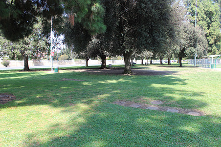 Enlarge photo 37