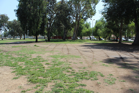 Enlarge photo 38
