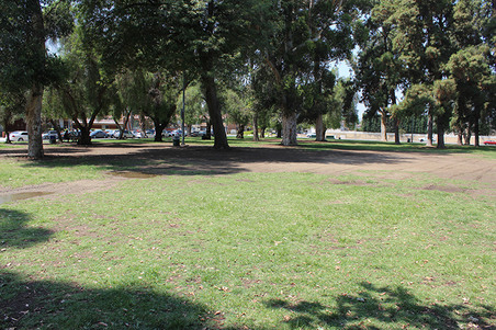 Enlarge photo 39