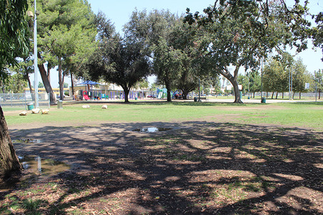 Enlarge photo 42