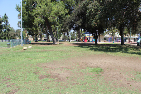 Enlarge photo 43