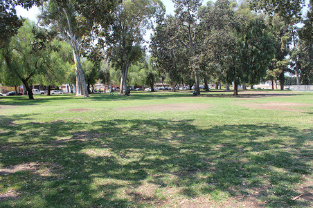 Enlarge photo 45