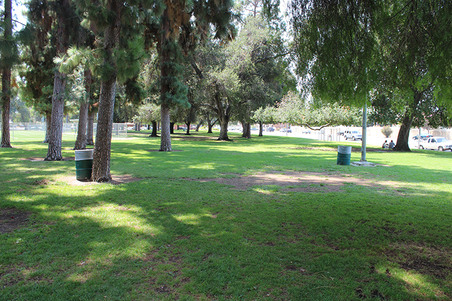 Enlarge photo 29