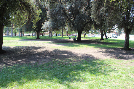 Enlarge photo 32