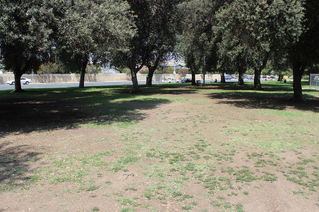 Enlarge photo 33