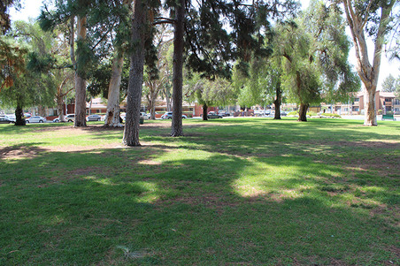 Enlarge photo 34