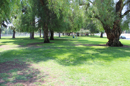 Enlarge photo 35