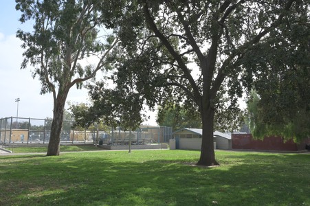 Enlarge photo 4