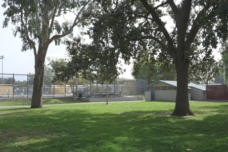 Enlarge photo 5