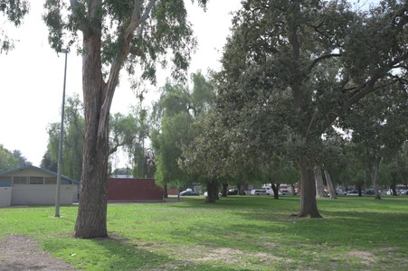 Enlarge photo 12
