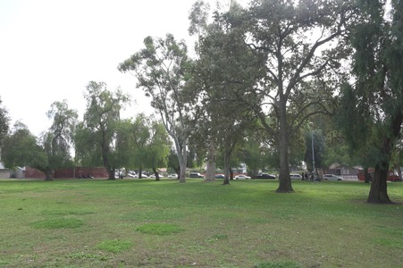Enlarge photo 14